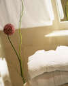 Claris Hotel 